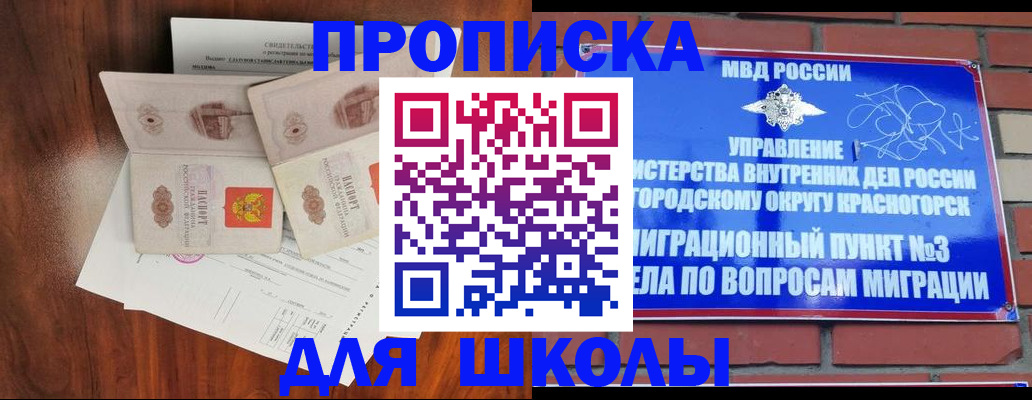 прописка поиск в Шлиссельбурге